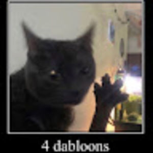 Meet your Posher, Ivy